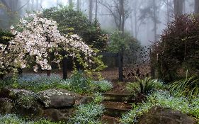 Tomah Retreat - Studio Relax With Fireplace